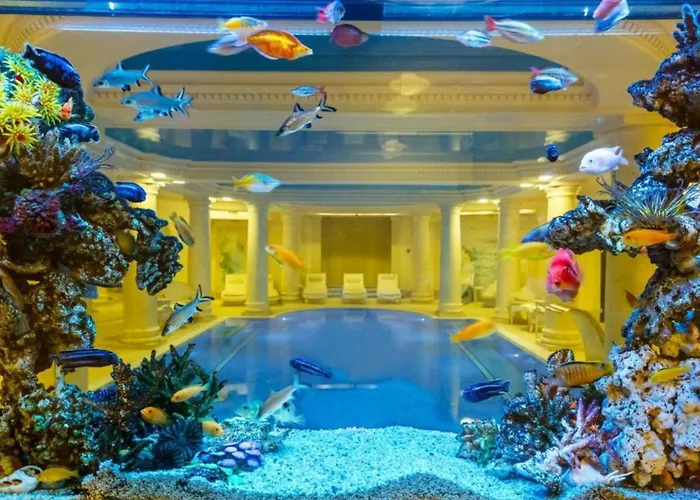 Pałacyk Business&spa Ośrodek wypoczynkowy Otrębusy